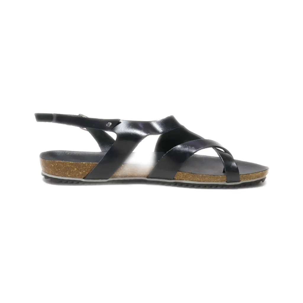 Beliana Flat Sandals Leather Black Colour For Women