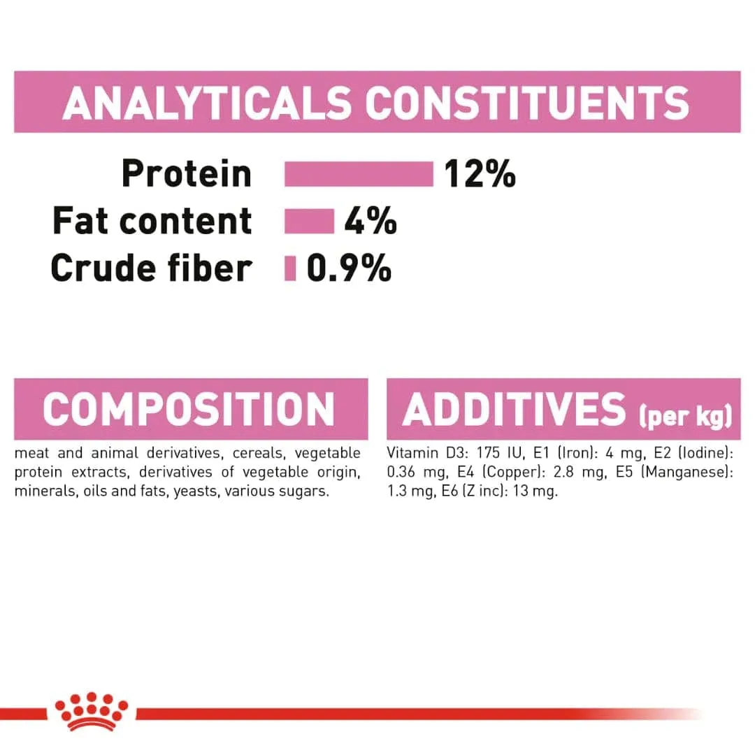 Royal Canin Kitten Jelly and Kitten Loaf Cat Wet Food Combo